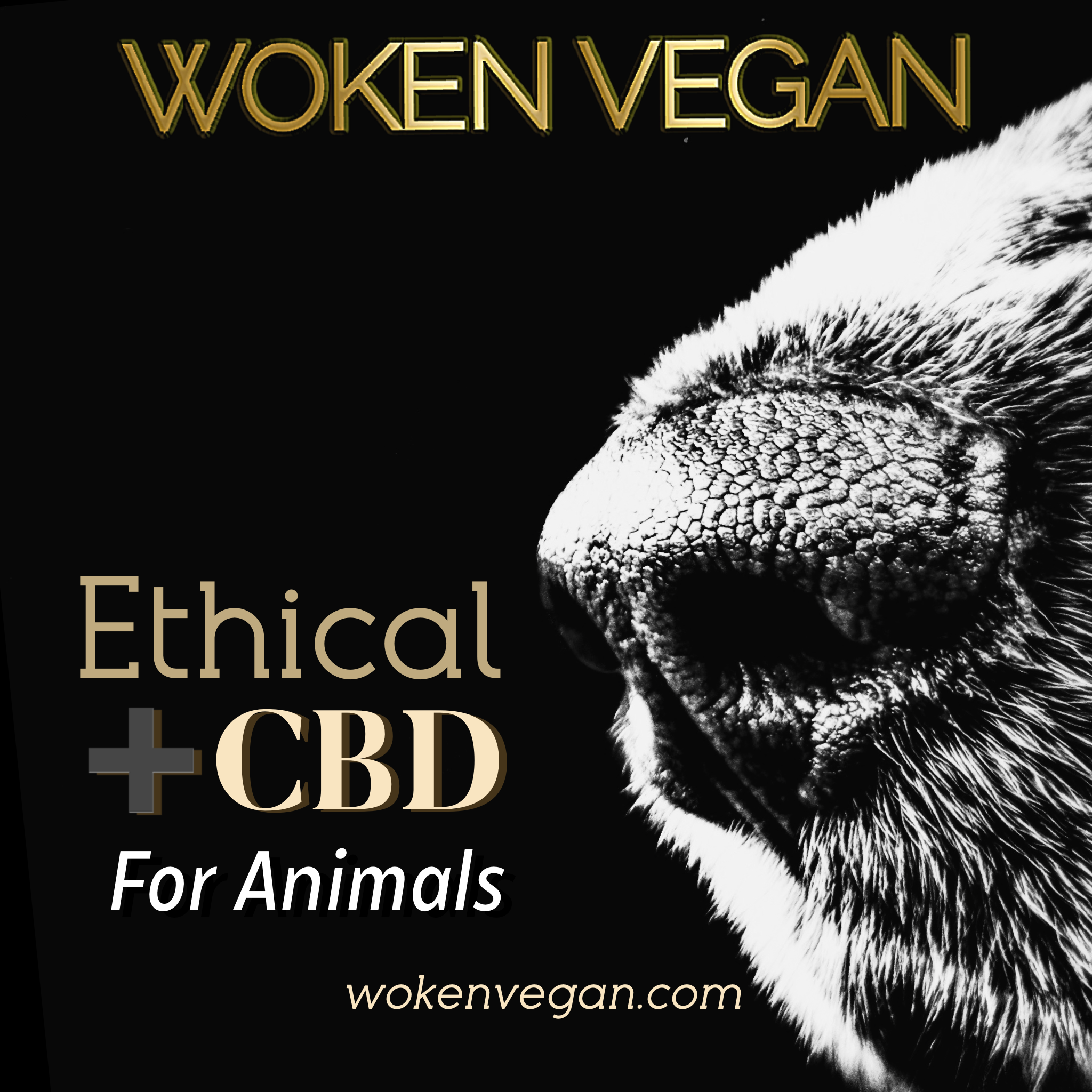 ethical CBD Woken Vegan